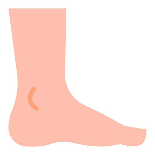 Ankle & Foot